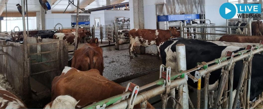 ENG Webinar 13.3.2025